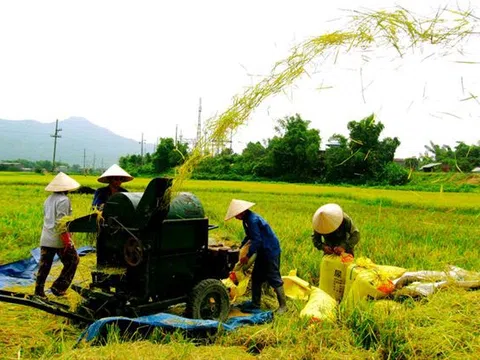 Vấn đề Tam nông trong tình hình mới