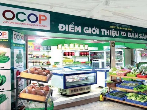 Nâng tầm sản phẩm Việt bằng chương trình OCOP