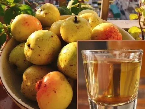 Rượu Táo Mèo - mang đậm nét tinh hoa của núi rừng sản phẩm OCOP đầy hứa hẹn