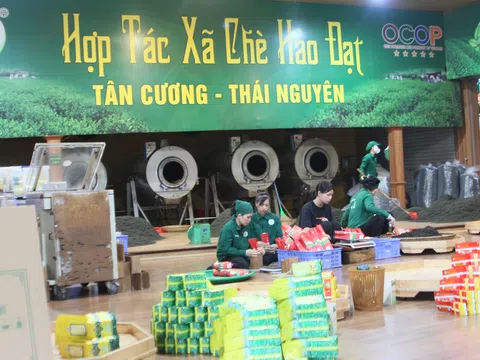 OCOP: Thổi bừng ngọn lửa truyền thống ở nông thôn Việt Nam