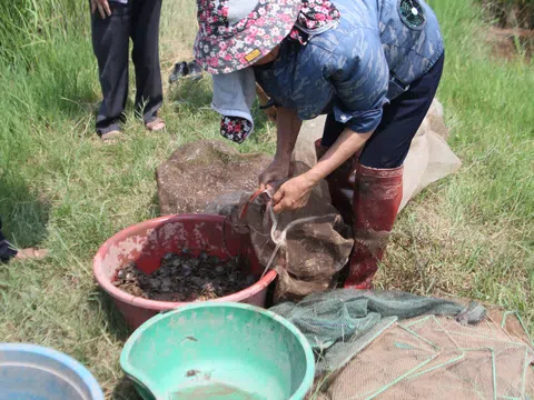 Từ bình dân đến đặc sản - khai thác sản phẩm bình dân cua, cáy