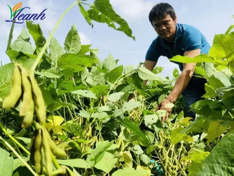 Phát triển nông nghiệp hữu cơ chìa khoá của cách mạng xanh