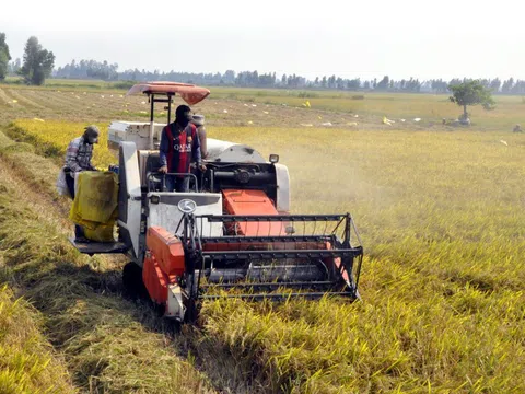 Cuộc cách mạng Silicon trên cánh đồng: Nông nghiệp thời đại số