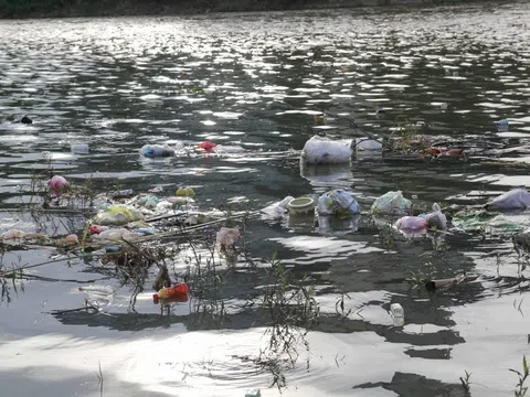 Làm thế nào để mỗi dòng sông đều xanh trong trở lại