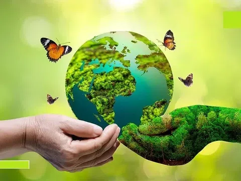 Con đường phát triển tất yếu trong quản trị Doanh nghiệp và ESG