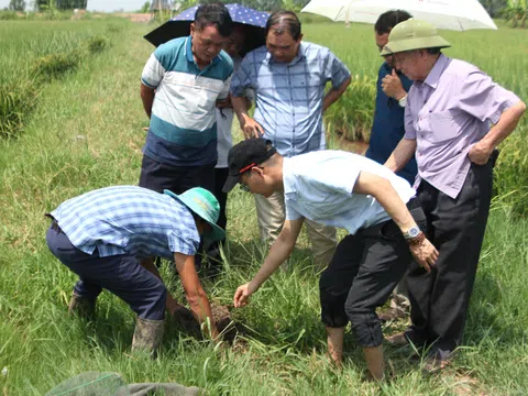 Đào tạo: Nền móng và chìa khoá thúc đẩy nông nghiệp xanh phát triển