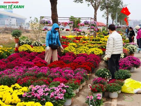 UBND huyện Đông Anh yêu cầu đảm bảo an toàn, lành mạnh tại Chợ hoa xuân Ất Tỵ 2025