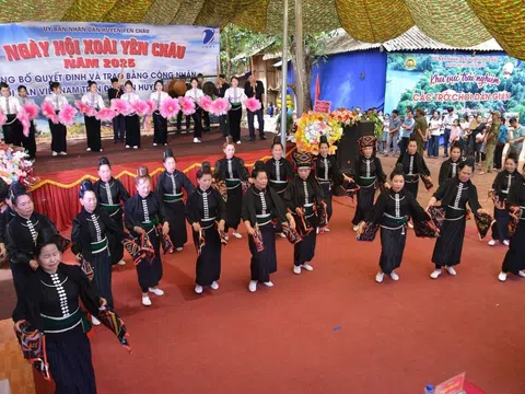 Từ bóng cây cổ thụ đến hương vị xoài - Hành trình đánh thức di sản ở Yên Châu