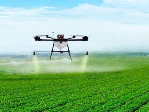 Hà Nội chuẩn bị vận hành chính quyền hai cấp trong lĩnh vực nông nghiệp và môi trường