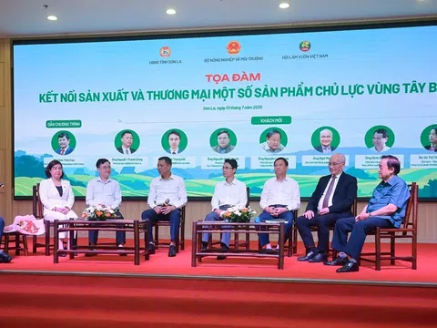 Thúc đẩy xây dựng vùng nguyên liệu chuẩn, nâng cao chuỗi giá trị nông lâm sản Tây Bắc