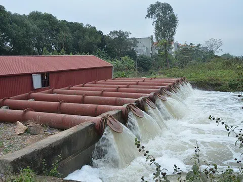 Điện lực Thái Thụy đảm bảo duy trì điện ổn định phục vụ đổ ải