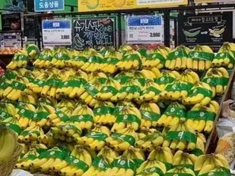 Chuối Việt Nam bứt phá tại Nhật Bản