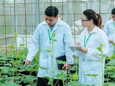 Chính sách "hút" người tài phát triển khoa học công nghệ nông nghiệp: Đãi ngộ gắn với hiệu quả, tạo môi trường cởi mở