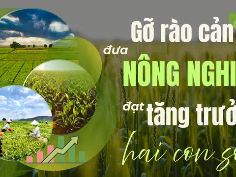 [Emagazine] Gỡ rào cản đưa nông nghiệp đạt tăng trưởng hai con số