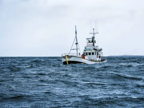 Thanh Hóa: Xử lý tàu cá vi phạm quy định về khai thác thuỷ sản