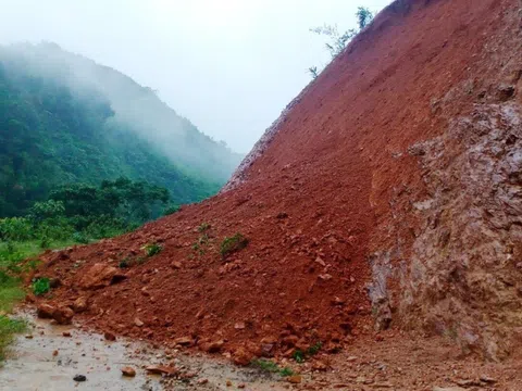 Nghệ An: Chủ động ứng phó với mưa lớn và nguy cơ sạt lở đất