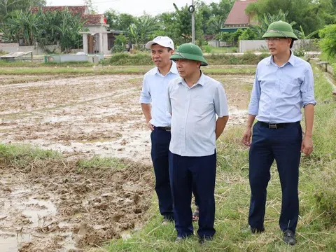Sở Nông Nghiệp và Phát triển nông thôn Nghệ An kiểm tra tiến độ sản xuất vụ hè thu tại Hưng Nguyên