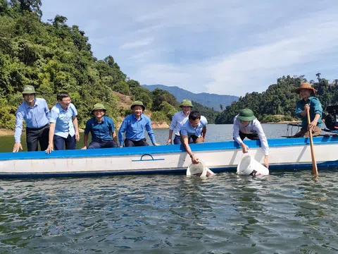 Nghệ An: Thả cá tái tạo nguồn lợi thủy sản trên lòng hồ thủy điện Hủa Na