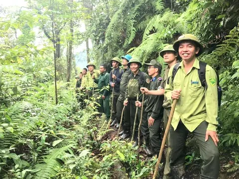 Những chuyển biến tích cực từ công tác chăm sóc, bảo vệ rừng và phát triển kinh tế lâm nghiệp ở Nghệ An