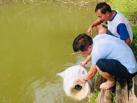 Nghệ An: Huyện Kỳ Sơn cung cấp cá Lăng giống cho nông dân xã Tà Cạ phát triển sản xuất