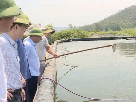 Phó Chủ tịch UBND tỉnh Nghệ An thị sát các mô hình nuôi trồng thủy sản công nghệ cao