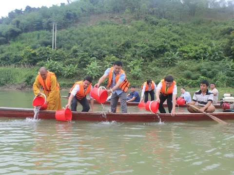 Nghệ An: Thả cá tái tạo nguồn lợi thuỷ sản trên lòng hồ thuỷ điện Khe Bố