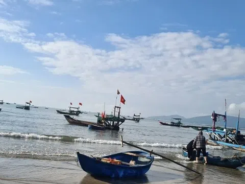 Ngư dân Nghệ An "bội thu" mùa ruốc biển