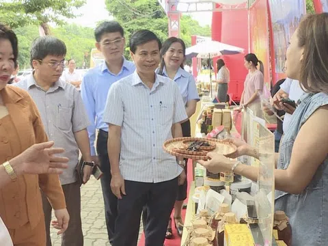 Nghệ An và 12 tỉnh, thành phố kết nối cung cầu, hỗ trợ tiêu thụ sản phẩm của hợp tác xã