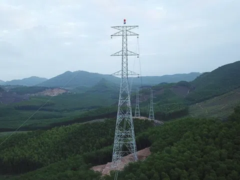 UBND tỉnh Nghệ An và Tập đoàn Điện lực Việt Nam bàn giải pháp đẩy nhanh tiến độ Dự án đường dây 500kV mạch 3