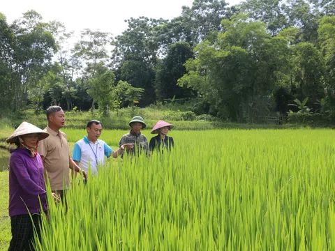 Người trưởng xóm mẫu mực với “bí quyết” trong huy động sức dân tham gia xây dựng nông thôn mới