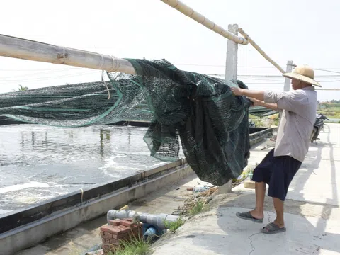 Ngành nuôi trồng thuỷ sản Nghệ An vượt khó, phấn đấu hoàn thành kế hoạch