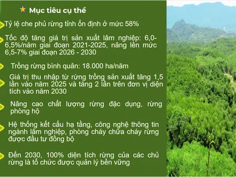 Tỉnh Nghệ An triển khai Quy hoạch lâm nghiệp quốc gia thời kỳ 2021- 2030 tầm nhìn 2050