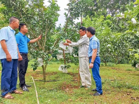 Nghệ An: Thẩm tra các tiêu chí để công nhận huyện Nghĩa Đàn đạt chuẩn nông thôn mới