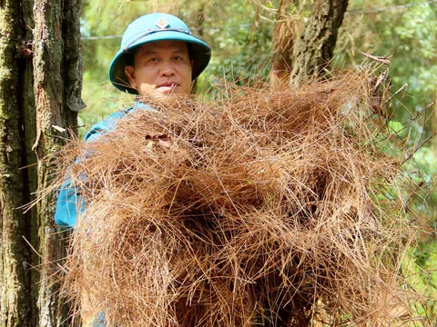 Nghệ An chủ động phòng ngừa và nâng cao ý thức để giảm thiểu tối đa số vụ cháy rừng trong năm 2025