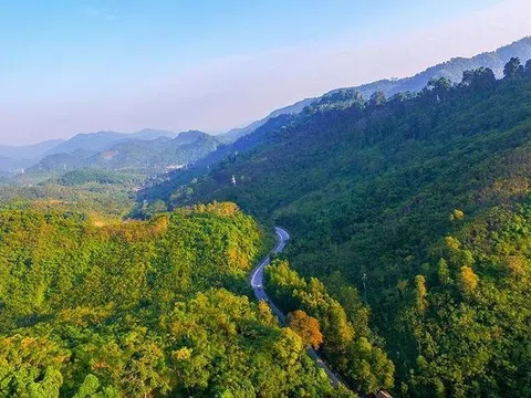 Tỉnh Nghệ An tiếp tục thực hiện chi trả giảm phát thải khí nhà kính năm 2025