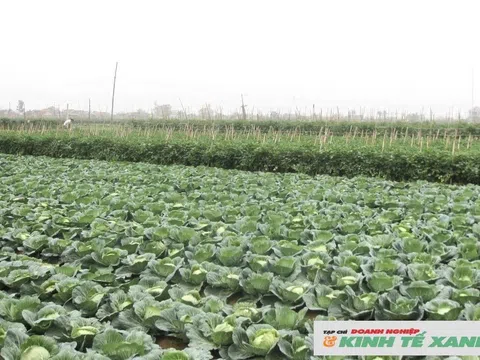 Nghệ An quyết tâm giành thắng lợi toàn diện trong sản xuất, gieo trồng vụ Đông năm 2025