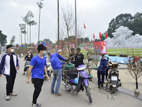 Ảm đạm chợ hoa ngày Tết tại Tuyên Quang