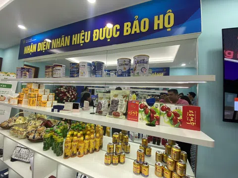 Mở cửa phòng trưng bày “Nhận diện nhãn hiệu được bảo hộ” tại Hà Nội