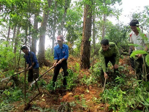 Bắc Ninh tăng cường các biện pháp cấp bách phòng cháy, chữa cháy rừng