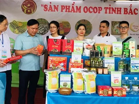 Sức hút đặc biệt của 200 gian hàng tại Hội chợ thương mại và sản phẩm OCOP - Bắc Ninh