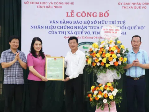 Bắc Ninh trao Văn bằng bảo hộ sở hữu trí tuệ nhãn hiệu chứng nhận “Dưa gang muối Quế Võ” 