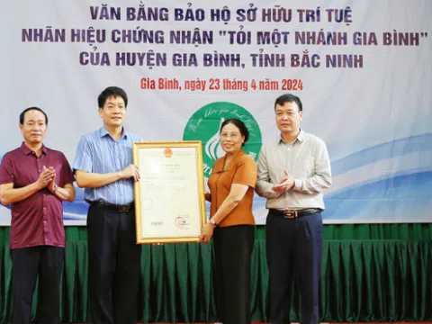 Bắc Ninh cấp Văn bằng bảo hộ Nhãn hiệu chứng nhận “Tỏi một nhánh Gia Bình”