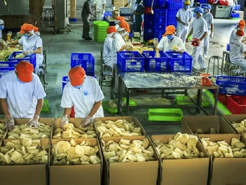 Khối doanh nghiệp FDI khởi sắc từ đầu năm 2023