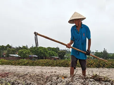 Nguy cơ thoái hóa đất nông nghiệp và phương án để cải thiện