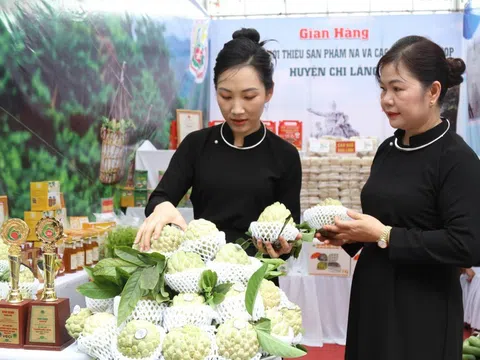 Lạng Sơn vào vòng chung kết cuộc thi “Phụ nữ khởi nghiệp sáng tạo và chuyển đổi xanh” năm 2024