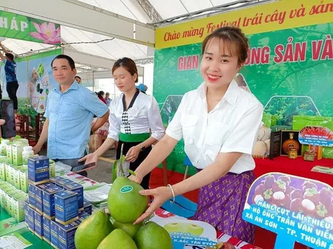 Nông sản Việt Nam sắp xuất hiện trên sàn thương mại điện tử và mạng xã hội Trung Quốc