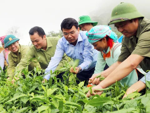 Lào Cai phấn đấu giảm nghèo nhanh và bền vững, đến năm 2030 cơ bản không có hộ nghèo