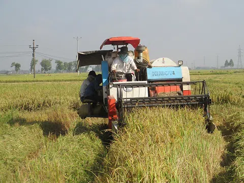 Cơ điện nông nghiệp hướng tới phục vụ tăng trưởng xanh