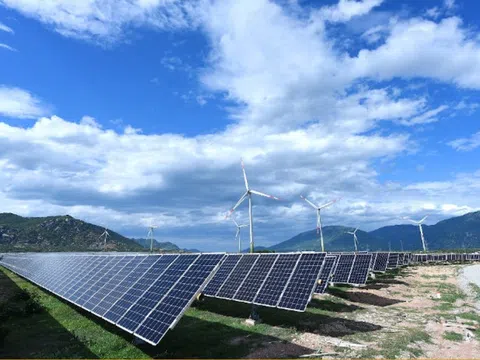 Đại biểu Quốc hội: "Không để doanh nghiệp leo núi một mình mà thiếu dây thừng"