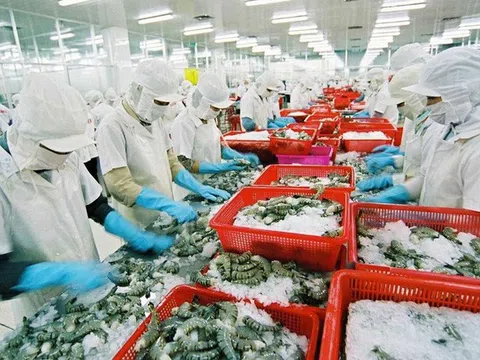 Hoa Kỳ là thị trường xuất khẩu chủ lực nông, lâm, thủy sản của Việt Nam 5 tháng đầu năm